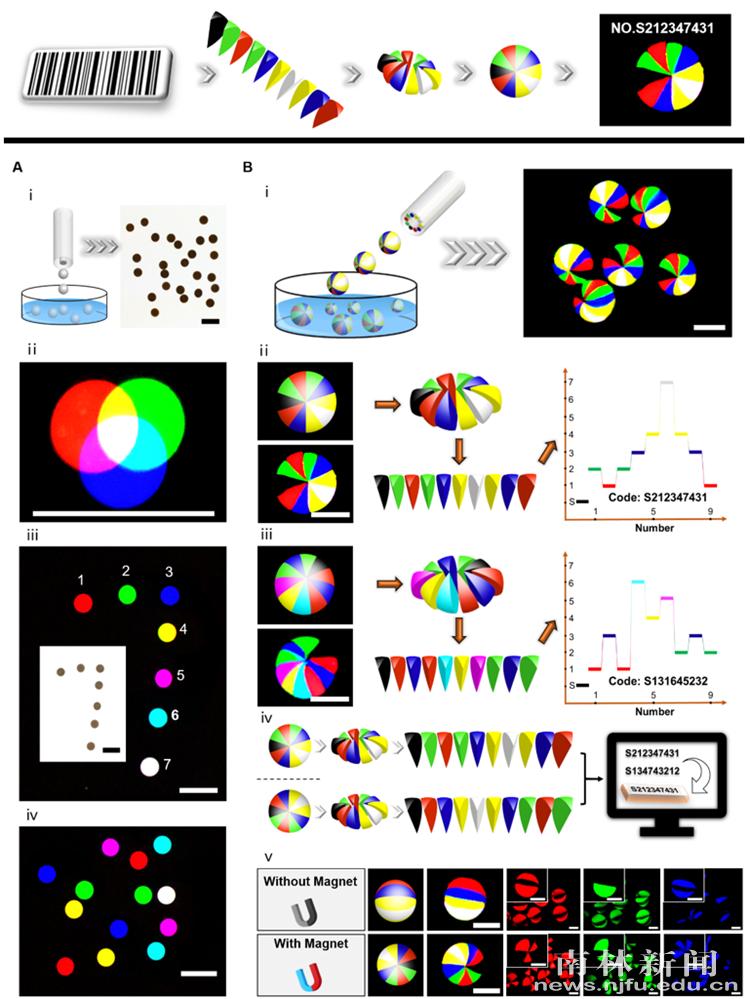 南京重大科技成果,重大突破中国科学家