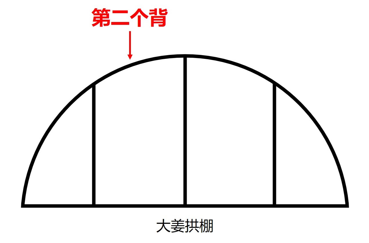 姜的种法和田间管理,大姜种植技术和管理技术书