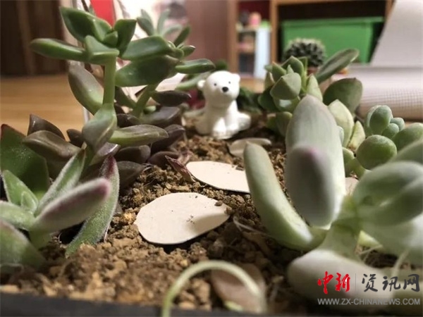 ISQS|全课程的魅力!国小学生在《秘密花园》中寻找成长的魔法!