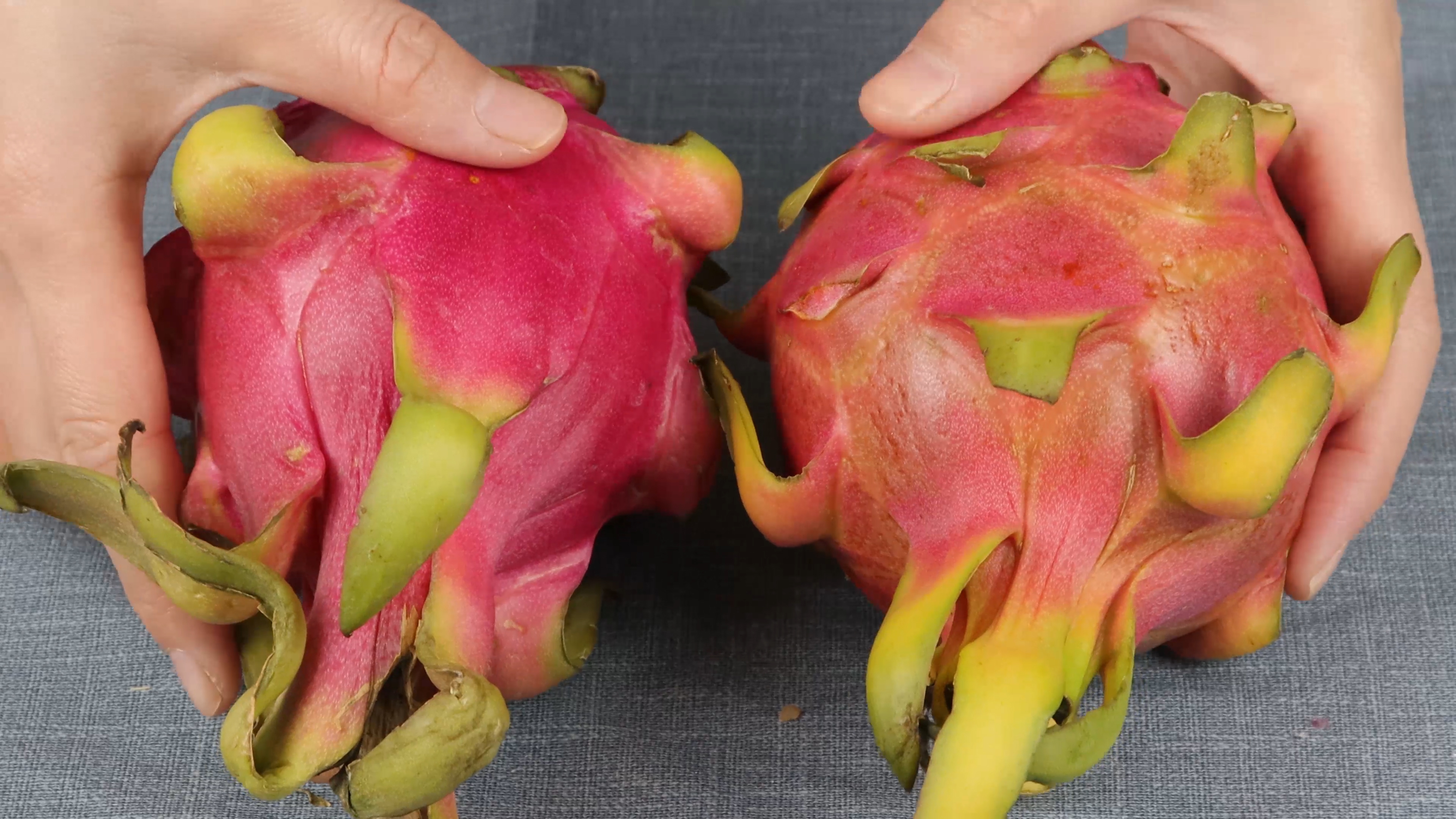 火龙果看一看有什么特点,火龙果别只顾着自己吃