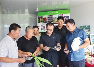 昌图县乡村振兴局成立,乡村振兴如何发挥领头雁作用