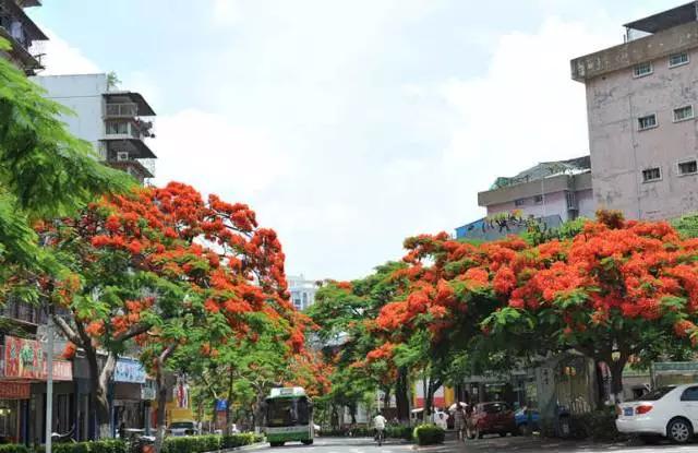 厦门什么地方吹海风吃着美食,厦门必吃海鲜吹海风
