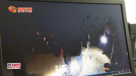 癞疙宝算不算动物,癞疙宝是国家保护动物吗