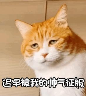 日本折纸大师立体机关折纸,日本折纸大师的折纸黑科技