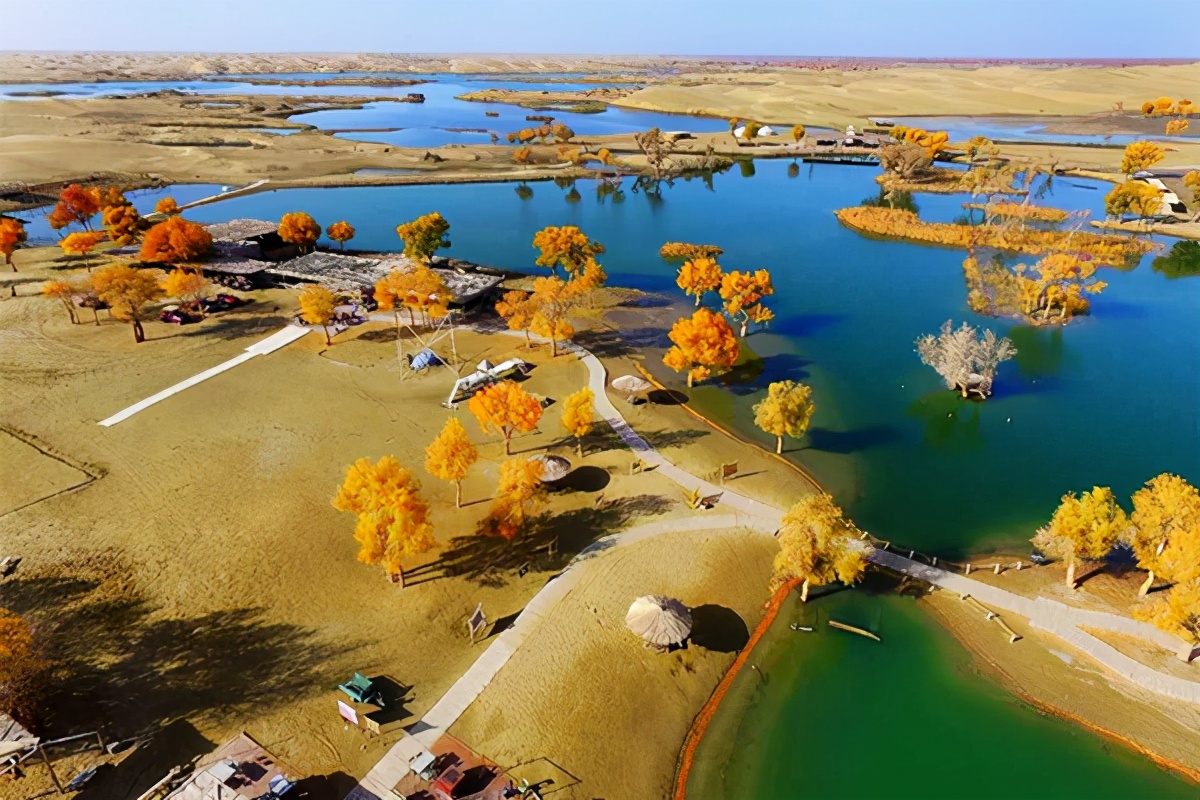 艺术家朗诵不朽的胡杨,千年不朽的胡杨