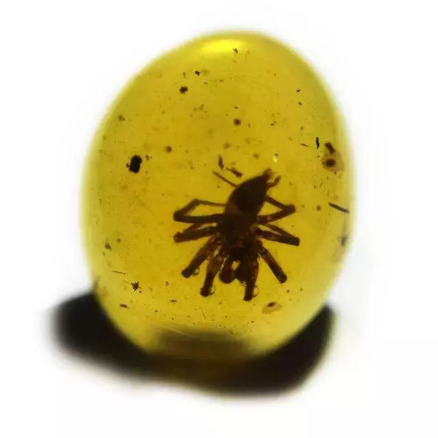 蜜蜡品种对照表,蜜蜡的分类大全