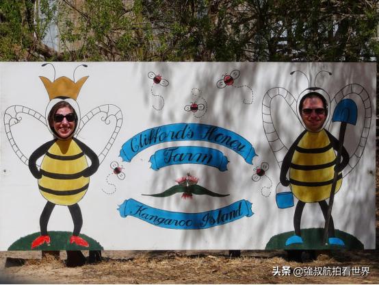 去南澳州旅游怎么样,去南澳旅游要不要做攻略