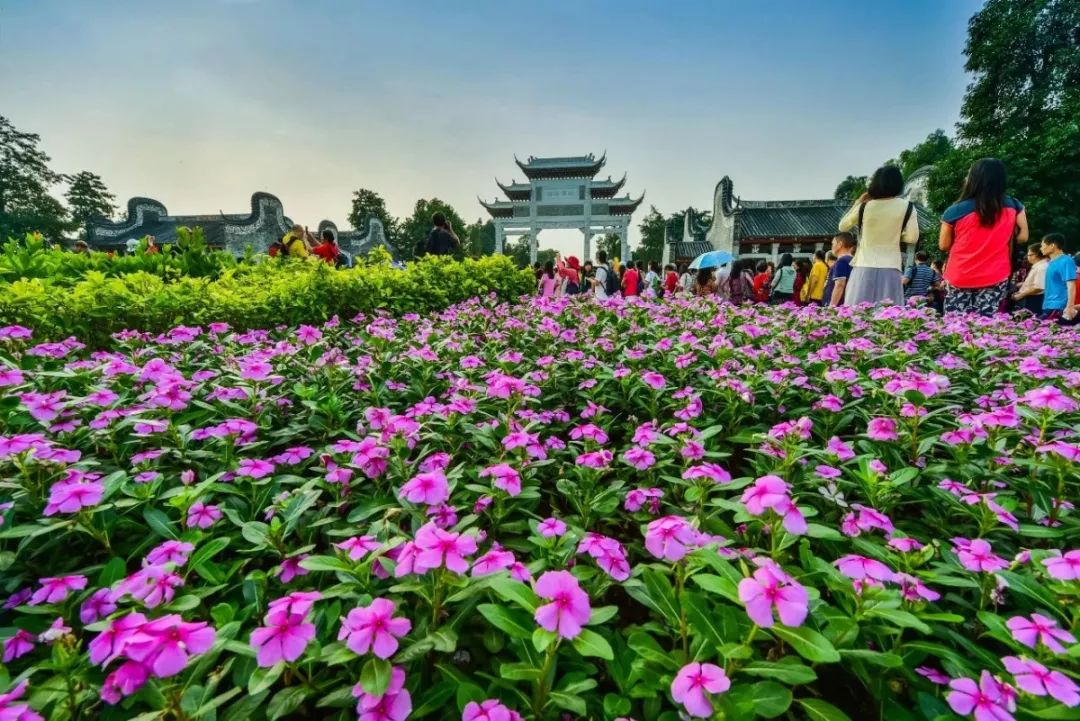 宝藏新公园周末好去处快来打卡,必打卡的宝藏公园