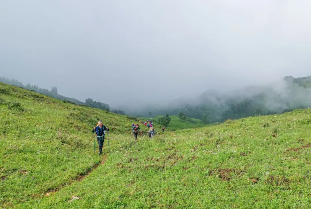 徒步穿越北驼梁完整版,穿越花海古道游记