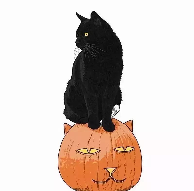 解析女性的各种*梦春**——是否有一种你做过？