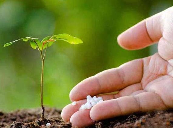 尿液提炼黄金,6.8吨尿液能提出多少黄金