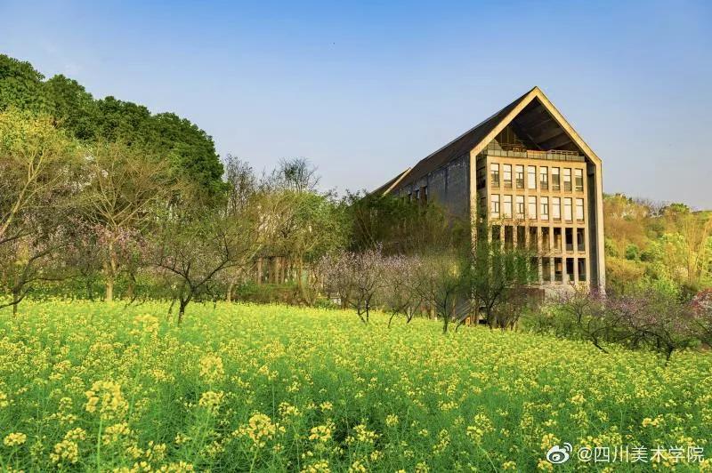 九大美院校园风景,中国九大美院校园风采