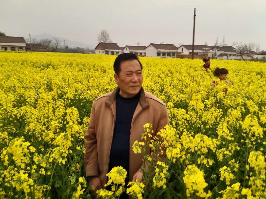 补课规则怪谈,补课危机