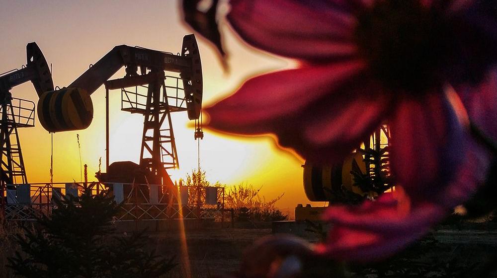 【官微会客厅·厂长面对面】低油价下提交的大厂“样本”!