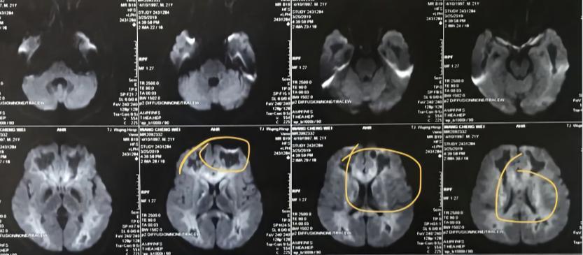 伟大的发现完整版,伟大的发现系列图书