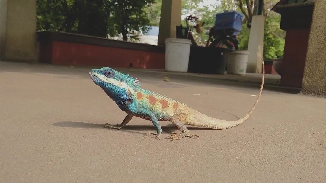 它是蓝颜祸水还是蓝颜薄命,都与你我有关