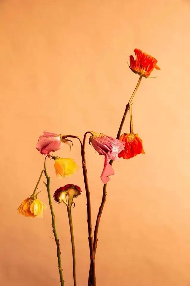 9平米花店,有4间铺面开花店怎样设计