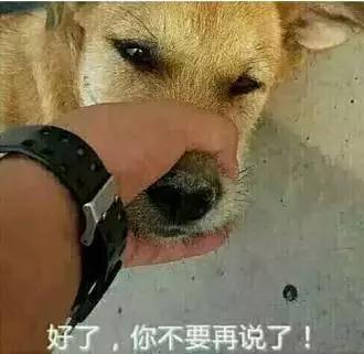 深圳最真实的工资,2018深圳薪资报告