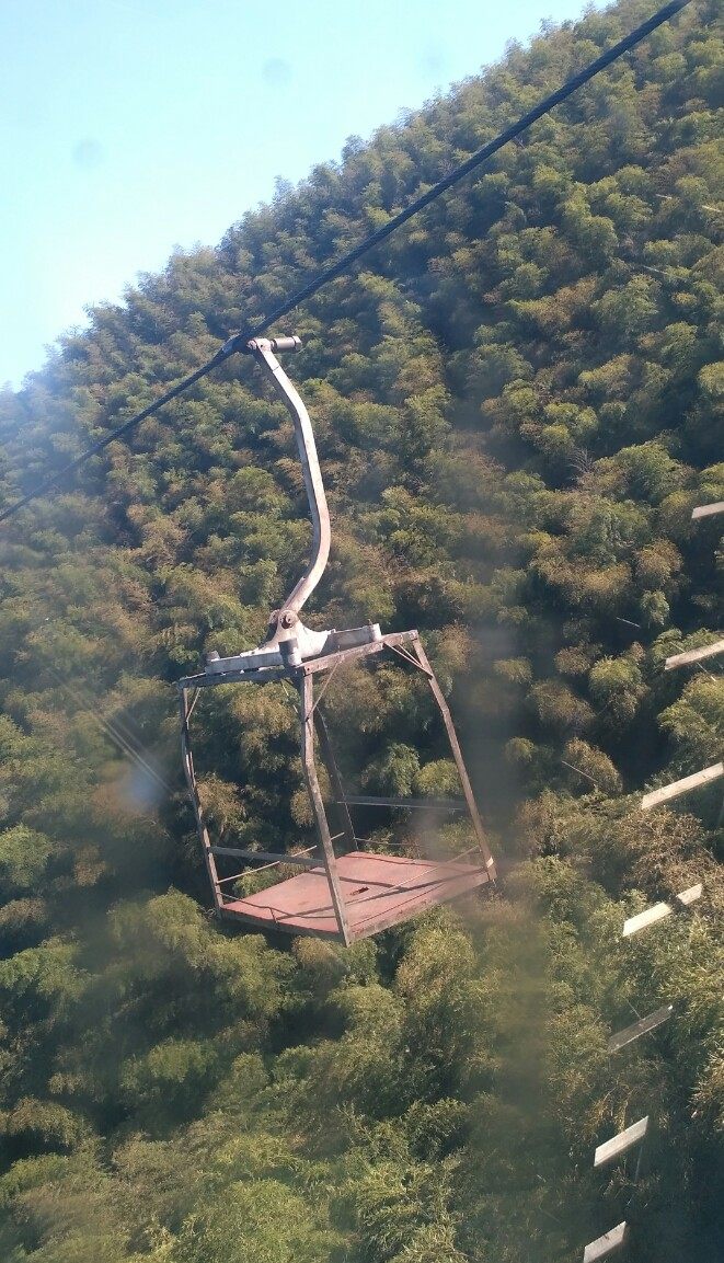 风景秀丽的宜兴竹海,漫步竹林呼吸大自然的清新