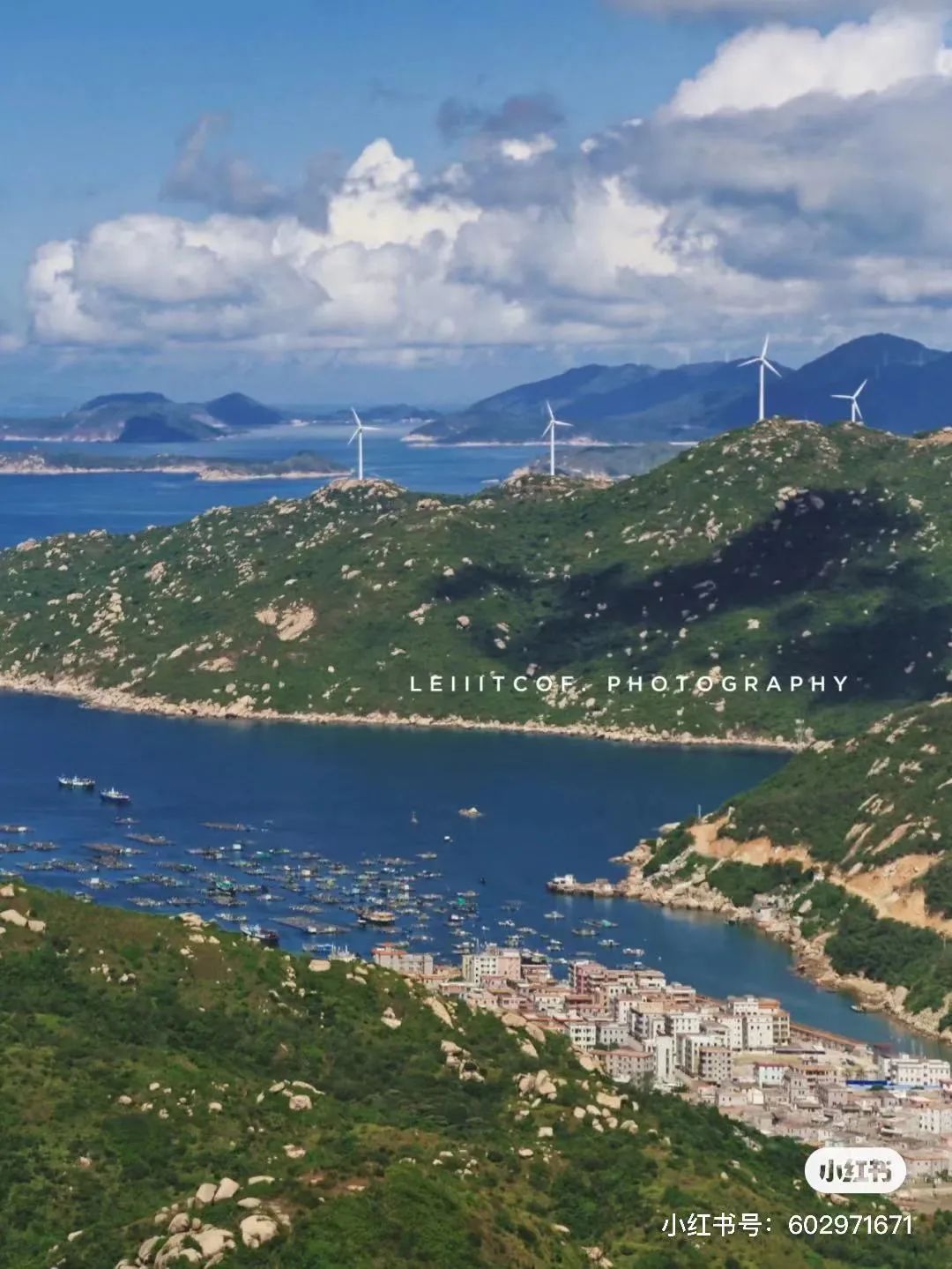 吴彦祖拍的劲爆电影,吴彦祖最新片