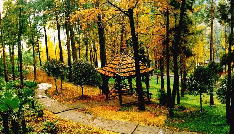 中国道教四大祖庭,中国道教的四大名山