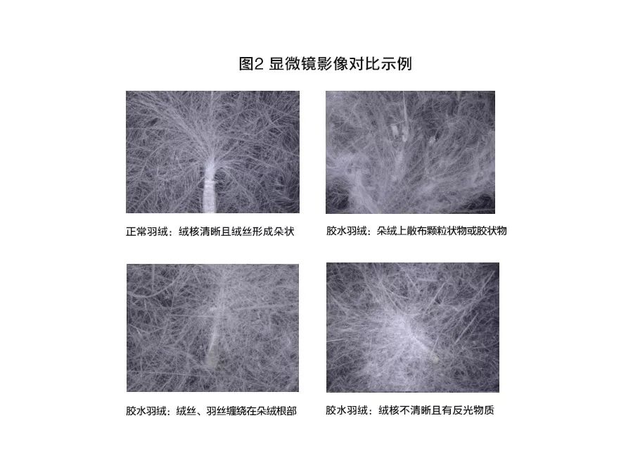 梦特娇这个品牌的衣服质量怎么样,梦特娇衣服现在属于什么档次