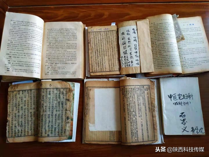 藏医扎加老师家乡,藏医专家扎加简历