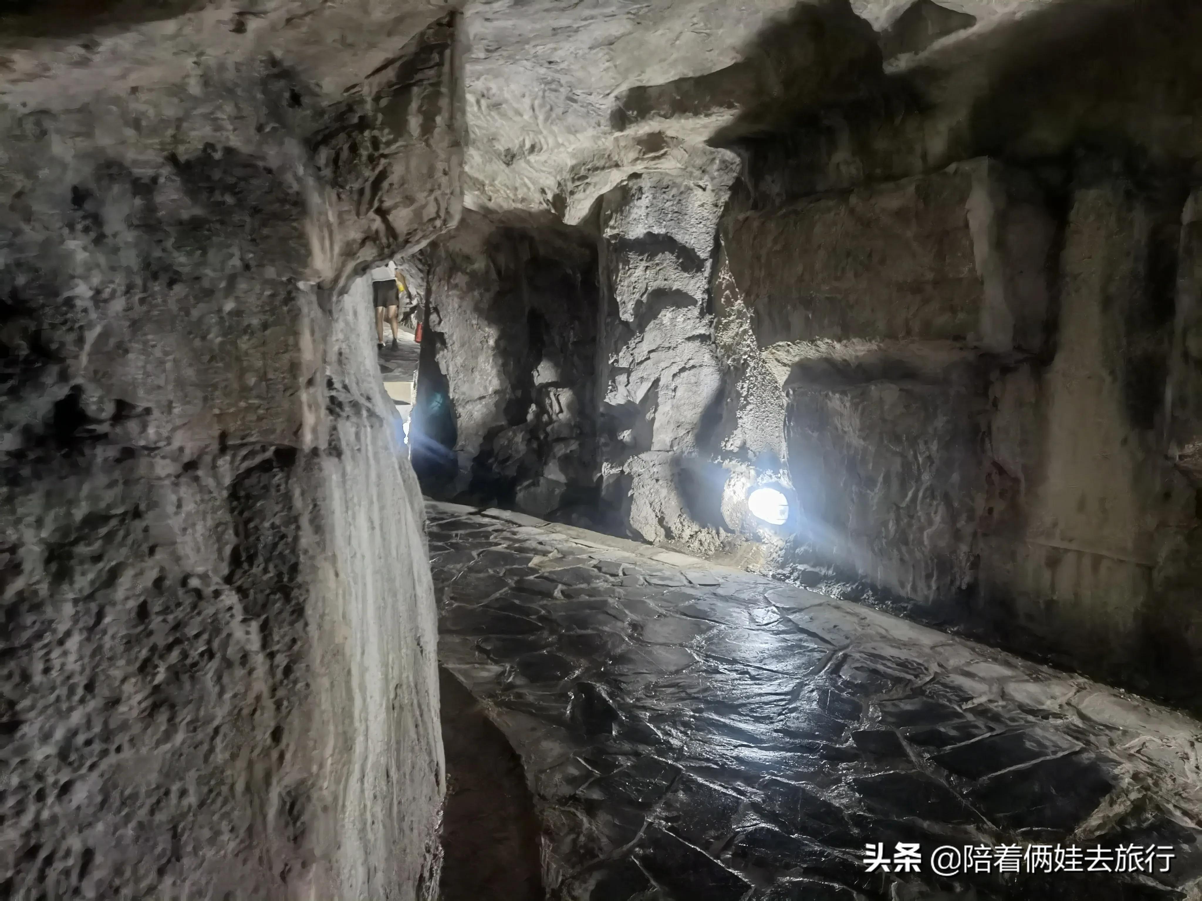 上海辰山植物园矿坑花园,辰山植物园矿坑花园修好了吗