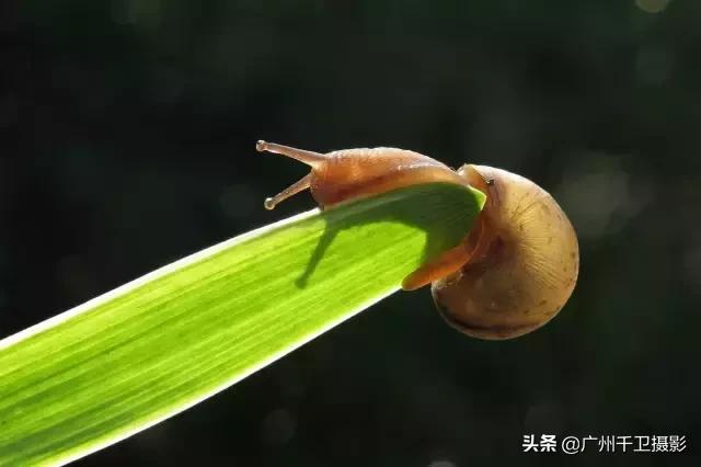 单反相机拍摄黄昏怎么设置参数,单反拍照实战各种参数的设置