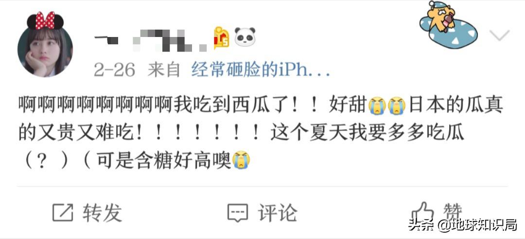 日本西瓜200人民币一个?这背后不为人知的是……|地球知识局