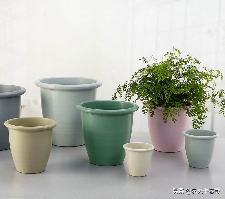 男性结扎了妻子还会意外怀孕吗,老婆结扎后意外怀孕能要吗