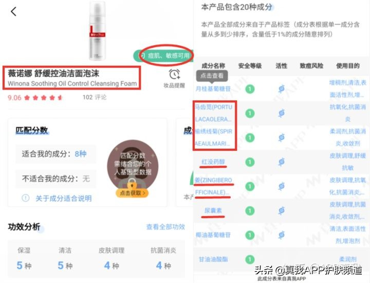 原来长痘痘有这么多的烦恼,长痘痘到底有多烦恼
