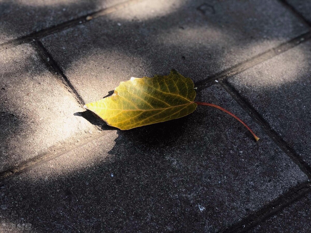 一秒戳中泪点的伤感说说大全,简短惊艳句子说说伤感