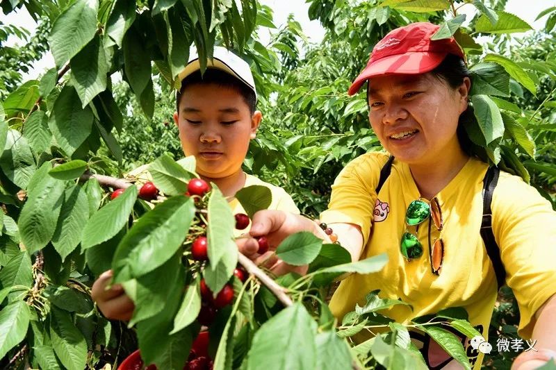 下好先手棋打好主动仗图片,下好先手棋打好主动仗