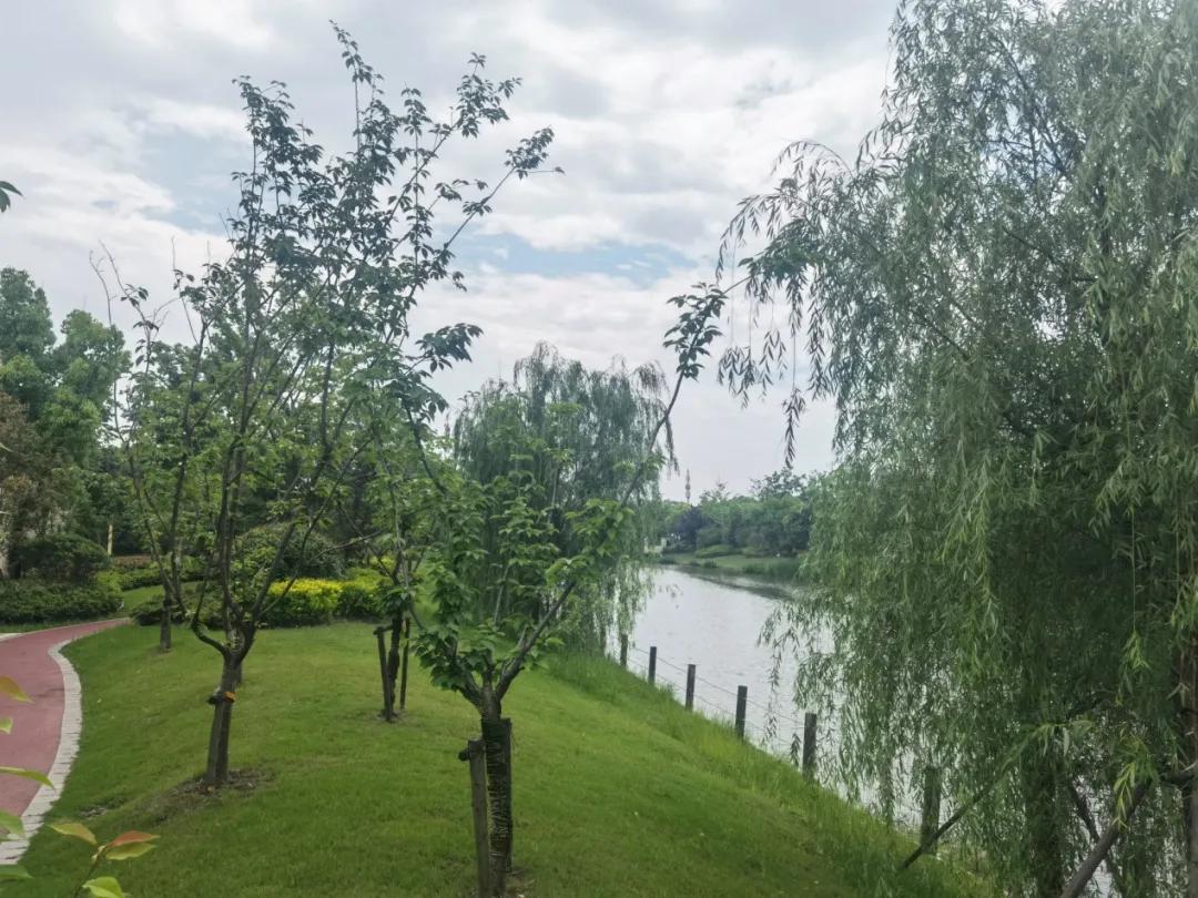 上海高端养老社区别墅,富椿佘山颐养社区