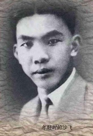 被我军击毙的日本将领,中国军人在朝鲜战争中击毙多少人