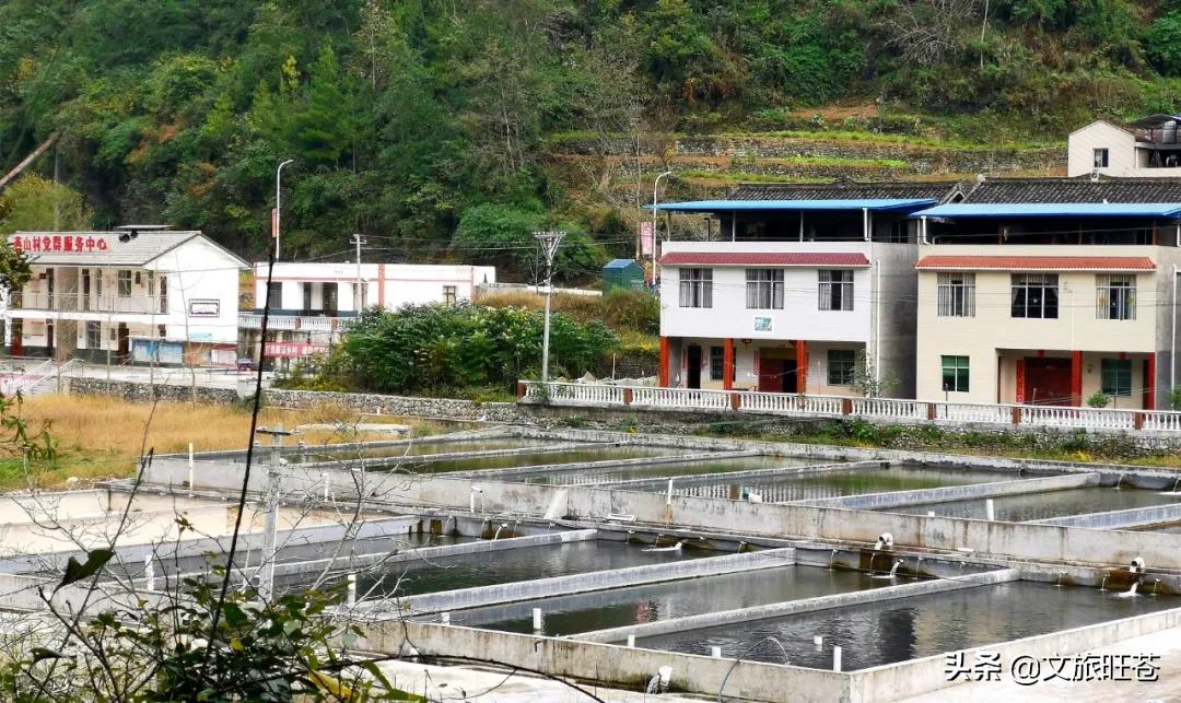 县域副中心有哪些,白水镇如何建设县域副中心