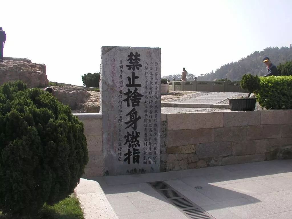 深圳到普陀山自驾游攻略最佳路线,2020普陀山奇异景象