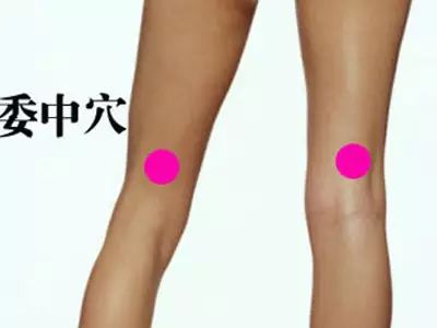 我的痘痘为什么长在背上,背上长了好多痘痘