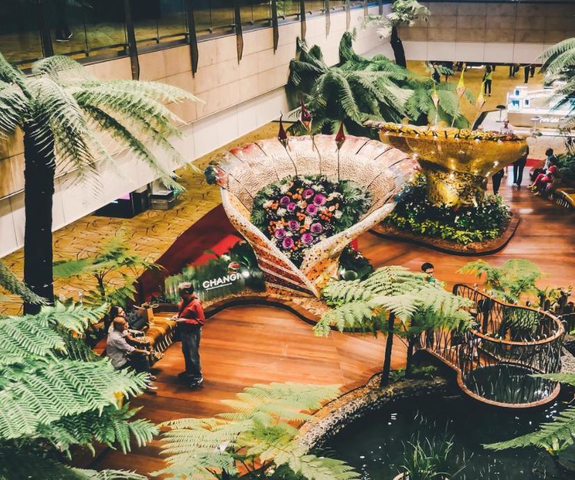 新加坡夺冠,新加坡获奥运游泳冠军