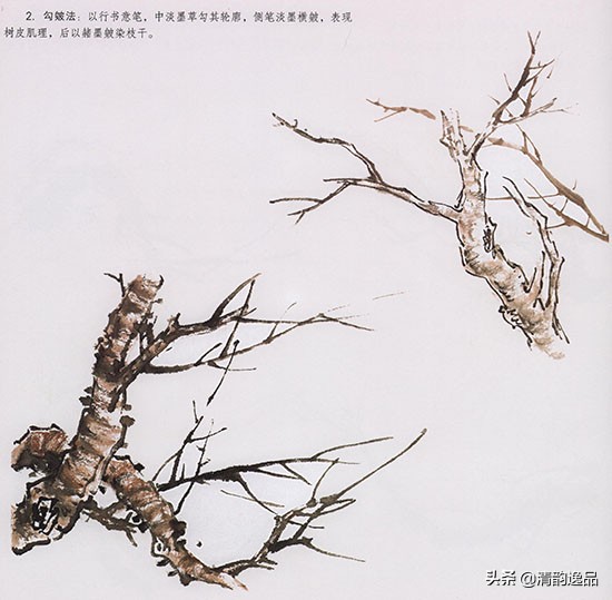 怎样画国画桃花的绘画技法,国画写意桃花技法视频