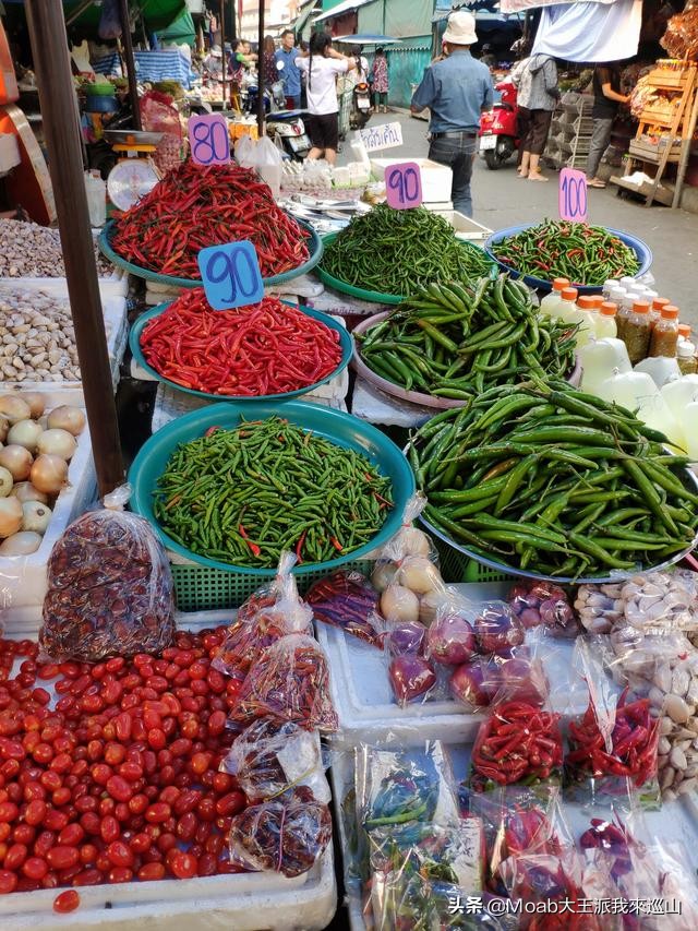 这才是真正的泰国农村生活,泰国物价大揭秘便宜到你不敢相信