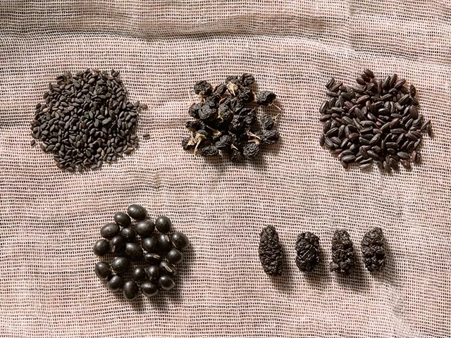 中国最好的黑豆产品,黑豆豆豉最好产地