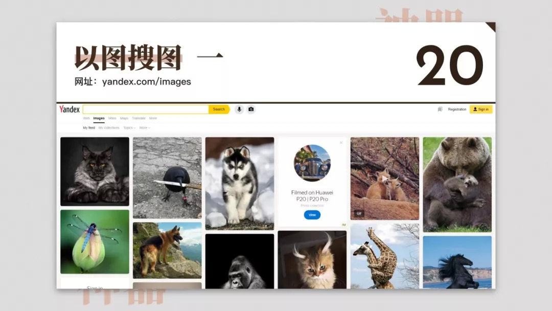 15个神奇又好用的网站,50个超级实用的网站