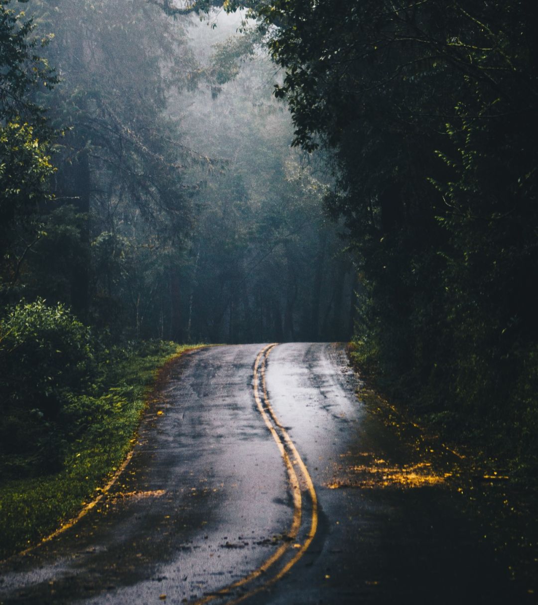 细思极恐真实命案,十大凶案真实案件