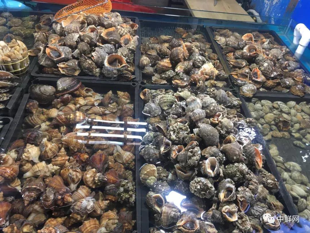 水产销售的技巧和方法,7月水产