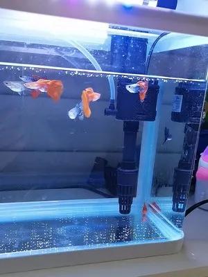 分享创富最佳方法,分享快速致富好项目