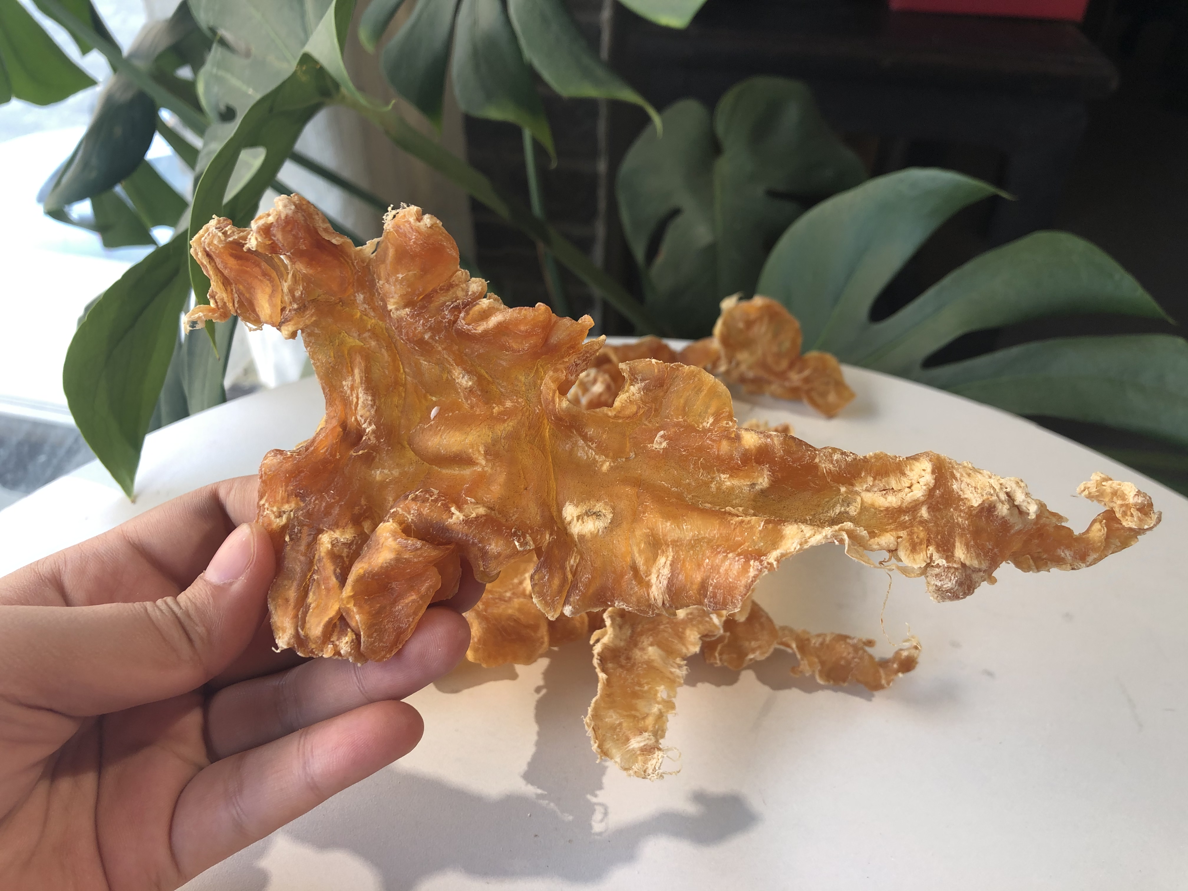 家庭食用哪种黄花胶比较好,官栈轻食花胶和即食花胶区别