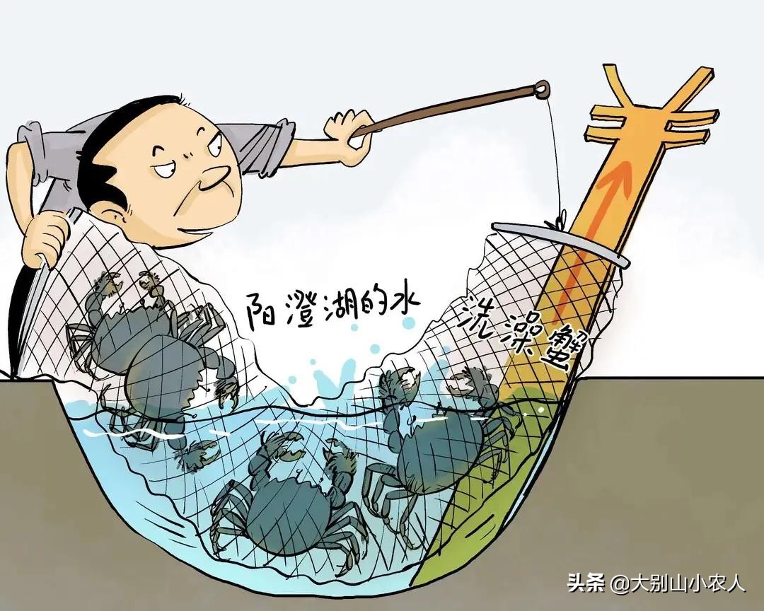 阳澄湖大闸蟹金字招牌,疯狂大闸蟹