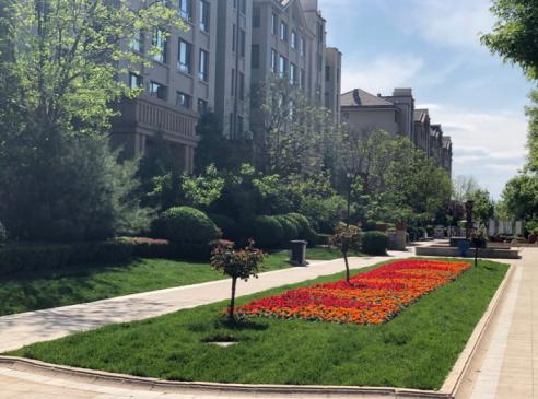 10年如一日,北京这些老小区“青春常驻”